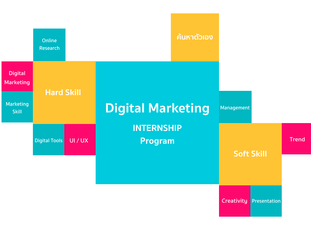 โปรแกรมฝึกงาน digital Marketing