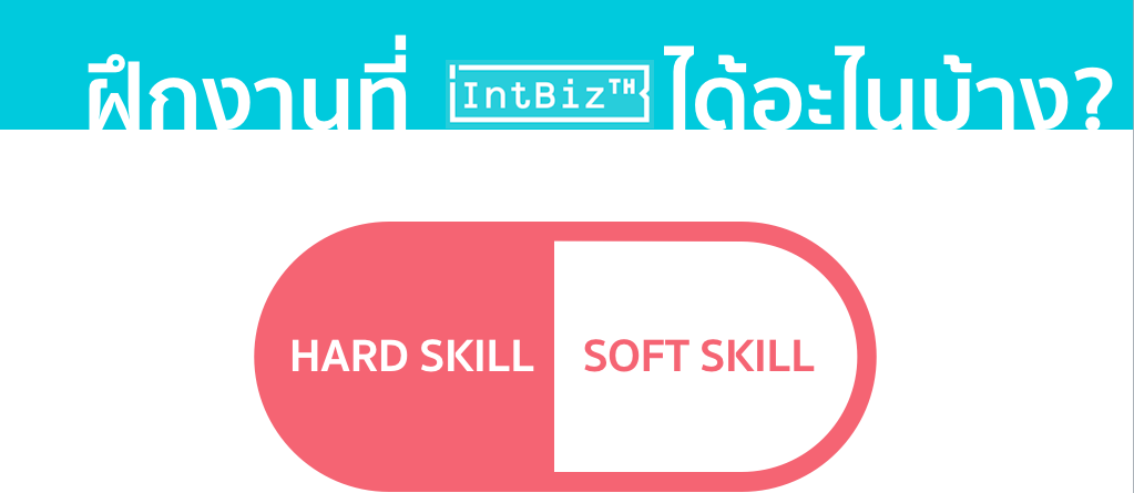 โปรแกรมฝึกงาน intbizth