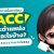 "Each position of the GACC registration number represents different information.