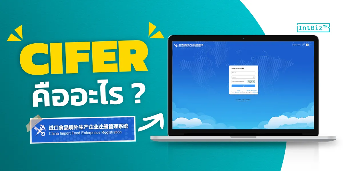What is CIFER?